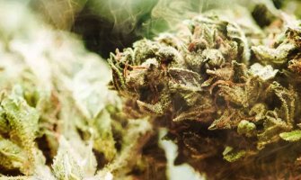 Differenza tra THC e liquidi al CBD