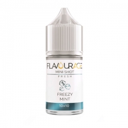 FlavourAge - Shot Aroma Freezy Mint 10ml