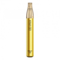 Kiwi Go Usa e getta - Mango Ice - 2ml