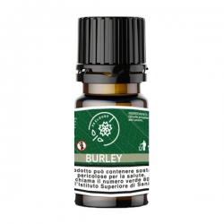 99 Clouds - Dinamizzati - Burley - 10ml