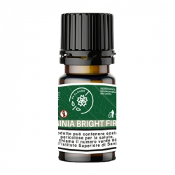 99 Clouds - Dinamizzati - Virginia Bright Fire - 10ml