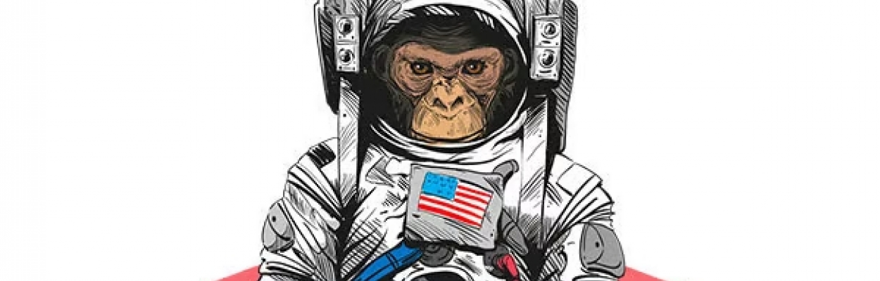 Monkeynaut: Recensione Completa
