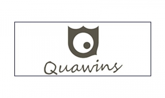 Quawins: Recensione Completa